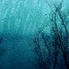 winters_rain